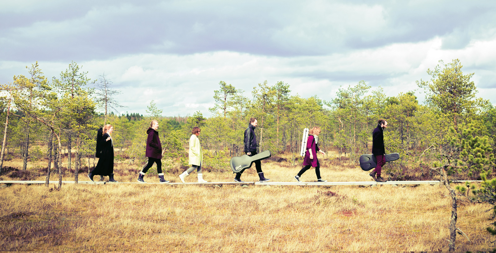 Maksettujen Viulujen promo2015: suo